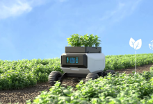 Photo of Основные типы компаний